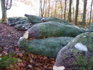 christmas tree wrapped - Welfield