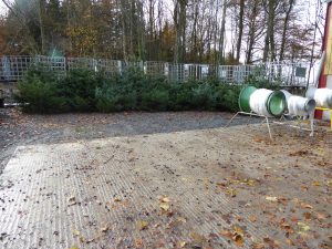 christmas tree sales site - Welfield